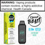 Extreme Mint Iced Flavour Beast Flow Disposable