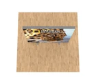 6.5ft Firefly Lightbox