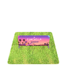 Outdoor Barrier