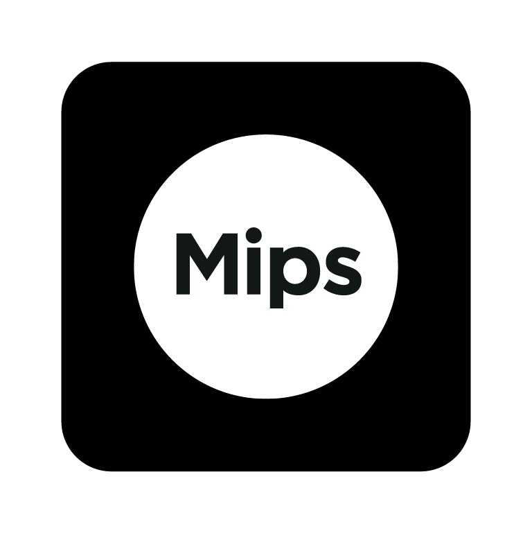 mips-01-01.png