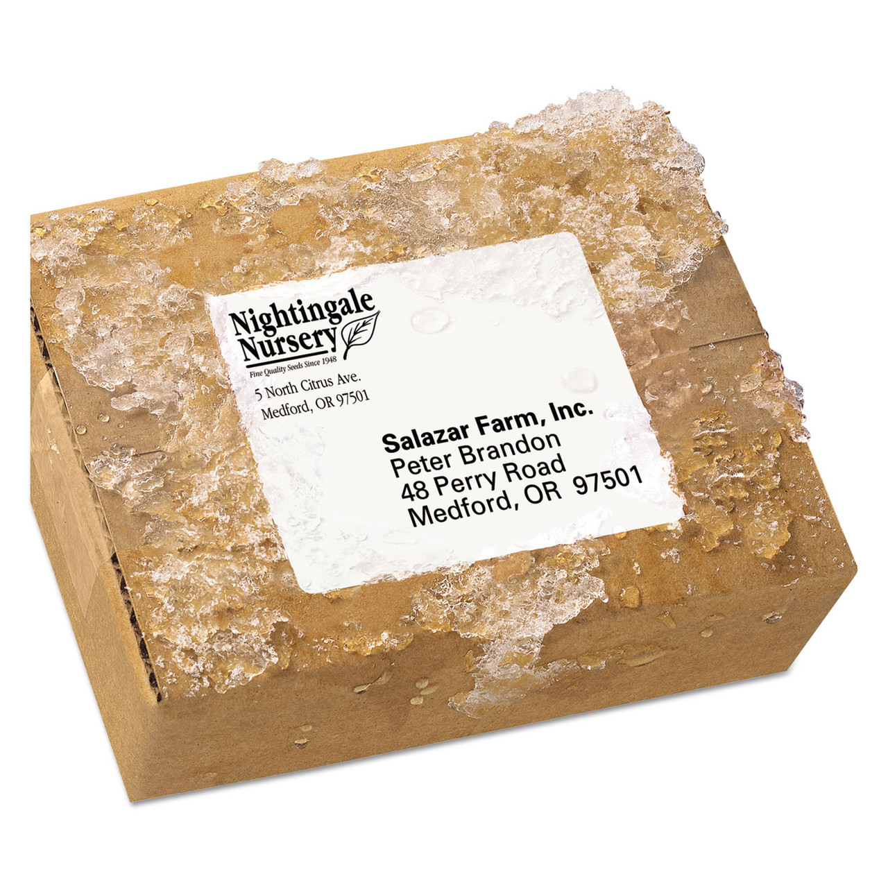 Avery AVE5524 WeatherProof Shipping Labels w/TrueBlock, Laser, White, 3 1/3  x 4, 300/Pack