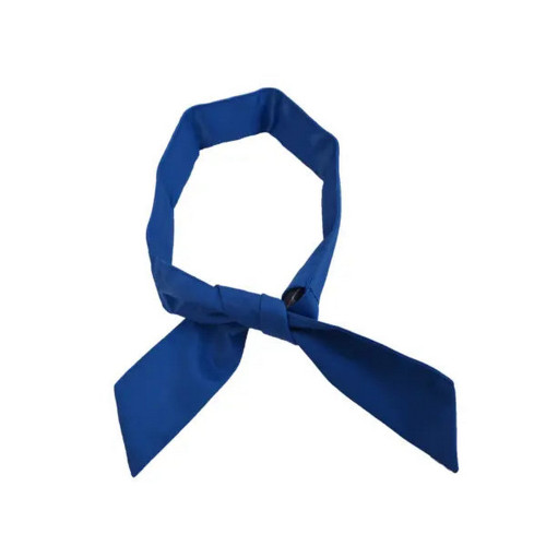 Occunomix 6619 Techniche Phase Change CoolPax Cooling Neck Bands Blue