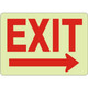 Safehouse Signs GL-168921 Glow Exit Right Arrow Sign, 7X10, Aluminum Glow