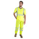 Cordova P101 Pants, COR-BRITE, Class E