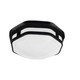 ETI FME-83-802-MV-N-N-B Color Preference Outdoor Flushmount, Black Housing, 830 Lm, repls 60w, 80CRI