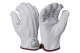 Pyramex Safety GL3007CKF Premium Insulated Goatskin Driver HPPE A6 Cut