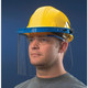 MCR Safety 181560 8X15 1/2" .060  Visor Pc