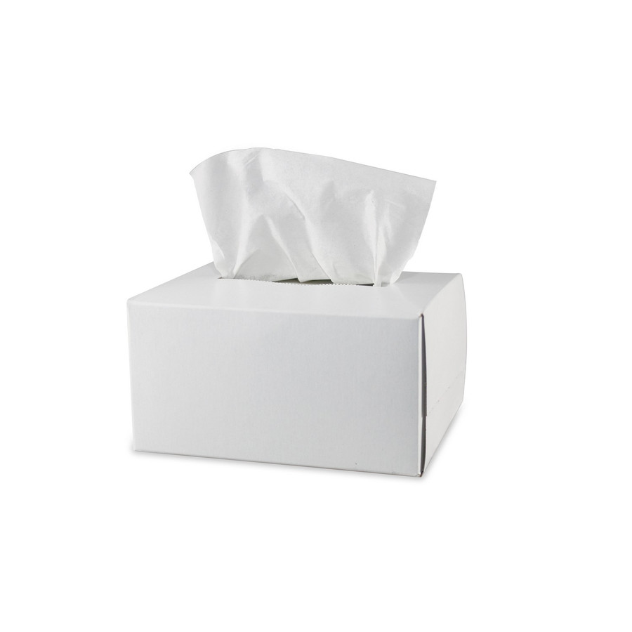 Pyramex Safety LT300 Lens Cleaner - Box with 300 Lens Cleaning Tissues