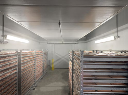 ILP WTZ4-5L-U-50-RAFL 38 Watt LED 4' Narrow Linear Vapor Tight Fixture 120-277V 5000K 5201 Lumens