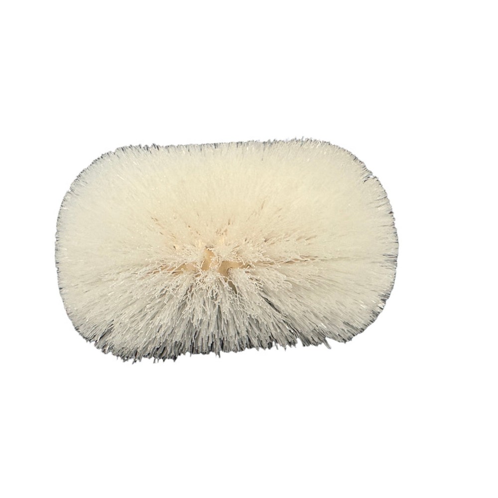 Better Brush 390108 Tank Brush