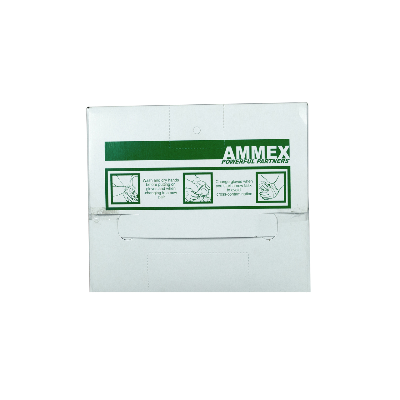 Ammex PGLOVE Ammex Food Service Poly Gloves - 100