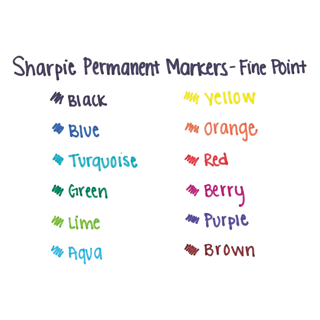 Sharpie SAN30001EA Fine Tip Permanent Marker, Black