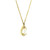 Fancy Pear-Shaped Diamond Halo Pendant Necklace in 14k Yellow Gold 560-11634