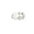 14k White Gold Diamond Clover Band Ring with Round Brilliant Cut Diamonds RGS-10064