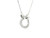 Round Cut Diamond Pave Circle Pendant Necklace in 14k White Gold 501-10319