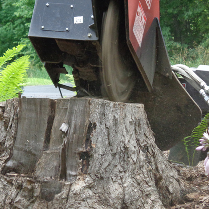 Bradco Skid Steer Stump Grinder | Skid Steer Solutions