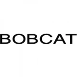 Bobcat