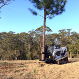 Maxx 14" Timberwolf Forestry Tree Shear Attachment with Grapple shearing and transporting tree