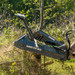 CID Skid Steer 60" Disc Mulcher Attachment Attached Cutting Side View