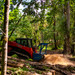 Processing logs with the HSM60 drum mulcher.