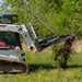 CID Skid Steer Tree Terminator Attached Tilted Up Pulling Tree