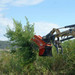 Ex-30 Flail Mower with Universal coupler and optional thumb saddle felling a tree