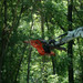 Excavator Rotary Brush Cutter Blade Eterra Cyclone