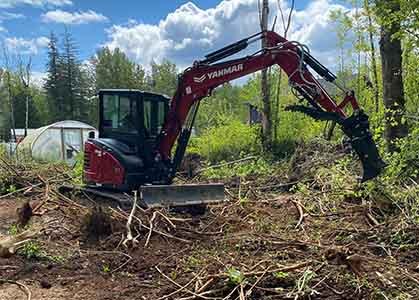 Close up view of Sickle bar mower blades for our parts request form