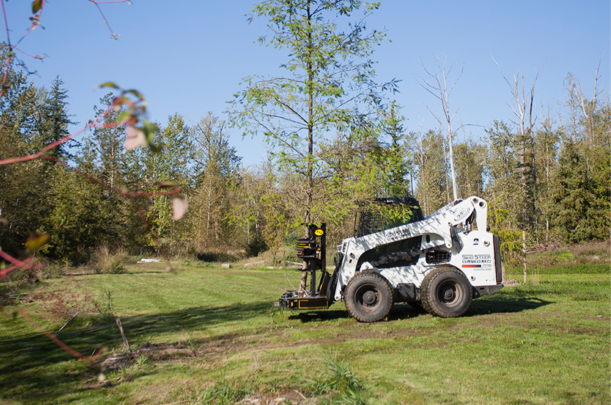 Skid Steer Hydraclip Tree Shear side view of a skid steer in a field with an M&M skids steer hydra clip tree shear on the front moving a tree