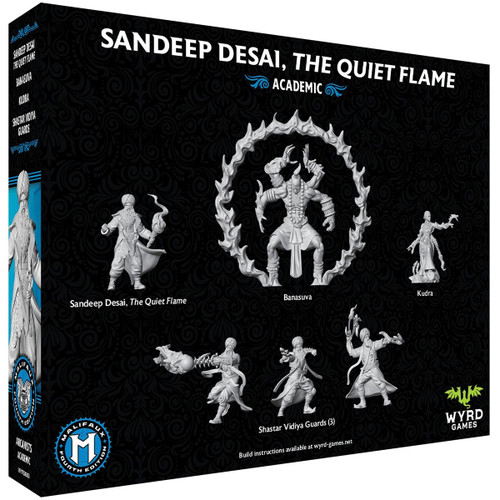 M4E - Sandeep Desai, The Quiet Flame