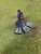 M4E - Injured - Round - Set of 5
