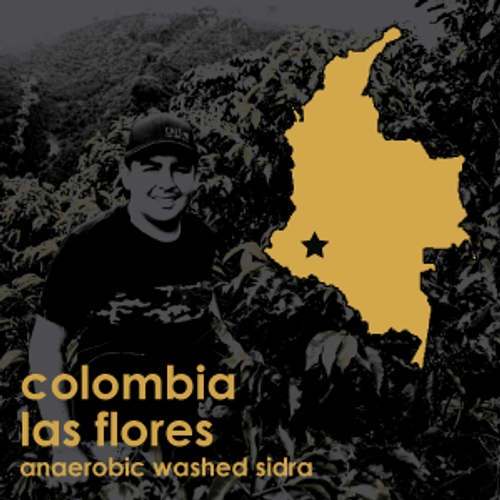 Colombia las Flores Anaerobic Washed Sidra