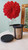 Tea Infuser (German)
