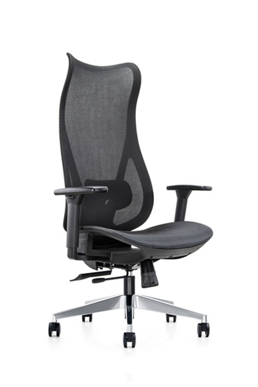 Ergonomic chairs to buy chelmsford essex_ergonomic office chairs essex_high back office chairs to buy essex_try office chairs chelmsford essex 2