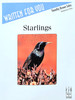 Miscellaneous Elementary Sheet Music Solos Bundle #7
