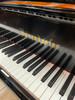 Bösendorfer Model  225 — Imperial Line 92-Key Grand Piano