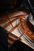 Bösendorfer Grand Piano 225 — Imperial Line | Polished Ebony | In Stock