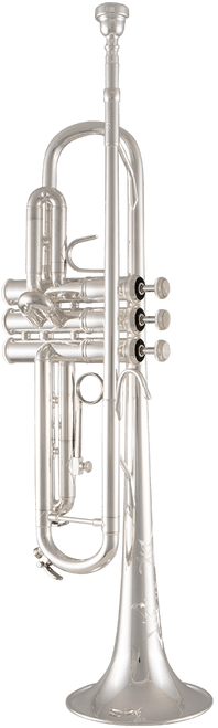 Bach TR200S Intermediate Bb Trumpet Bach TR200S Intermediate Bb Trumpet
