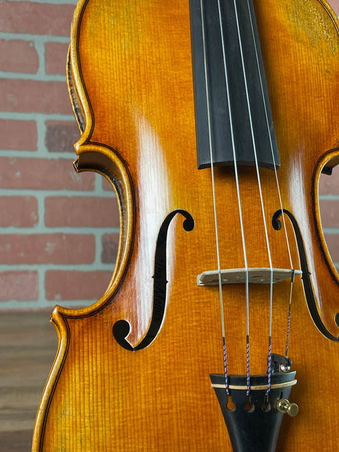 Carlo Amati VN515 'Medici' Intermediate Violin - 4/4 Carlo Amati VN515 'Medici' Intermediate Violin - 4/4