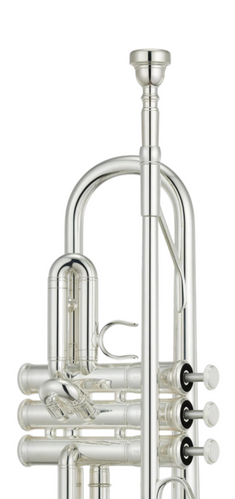 Yamaha YTR-4335GSII Intermediate Bb Trumpet - Silver Plated & Gold Brass Bell