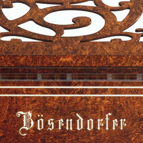 Bösendorfer Ultimate Design Vienna — Available to Order