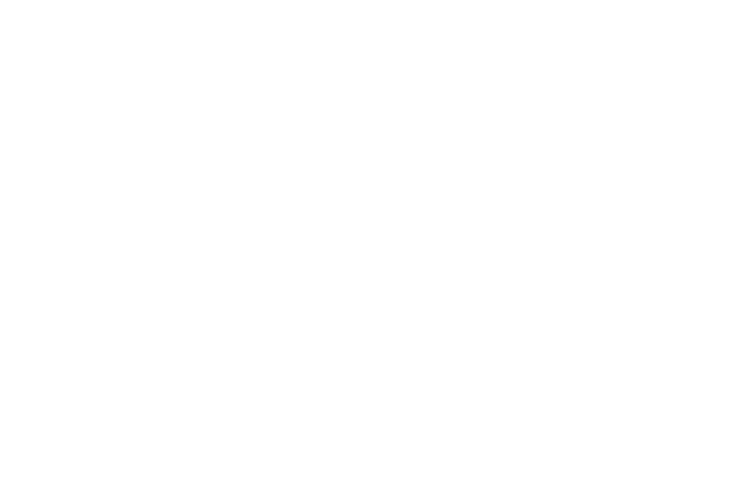 taurus logo