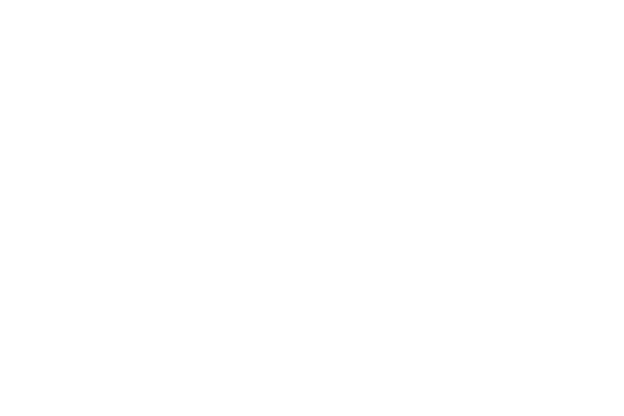 taurus logo