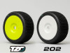 Truggy TZO 202