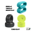 Truggy TZO 202