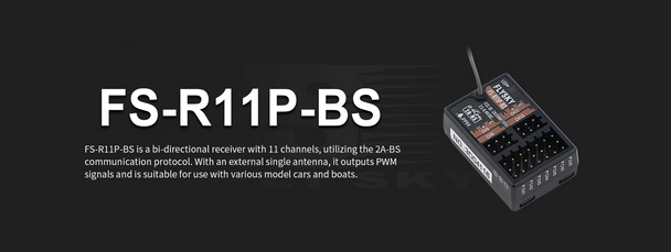 FLYSKY R11P 11 Channel receiver