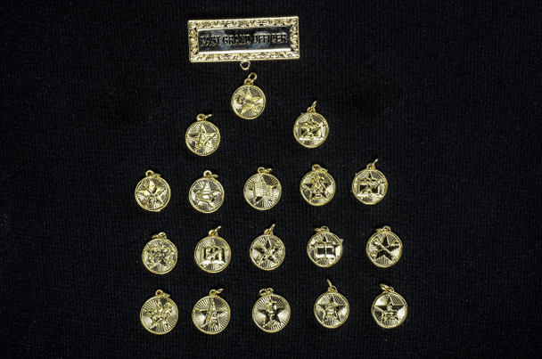 OES New York - Past Grand Officer Pin