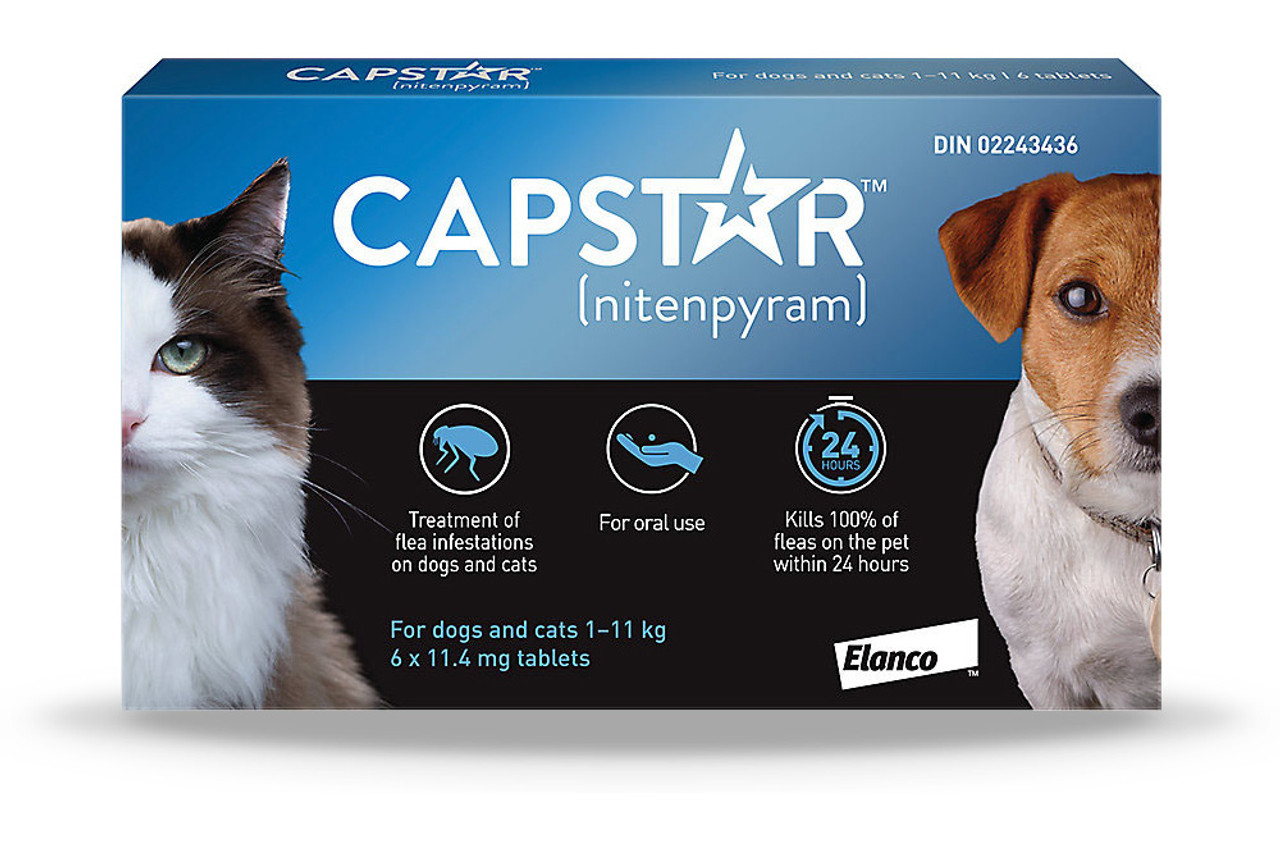 Capstar 11.4 mg Tablets - Kills Fleas and Maggots