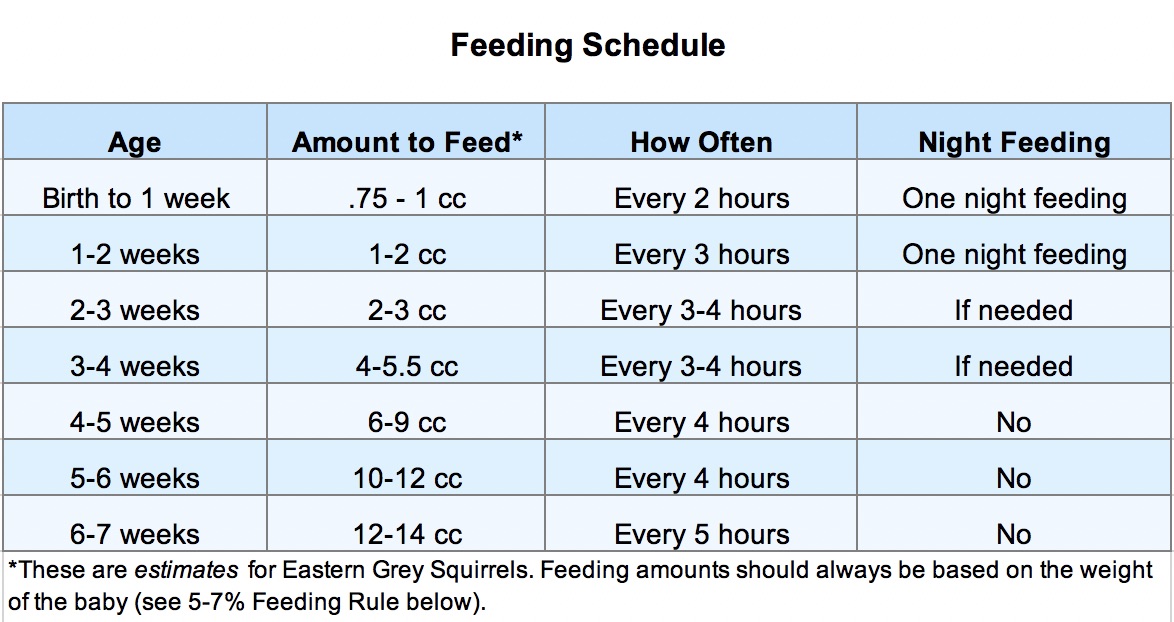 formula feeding chart