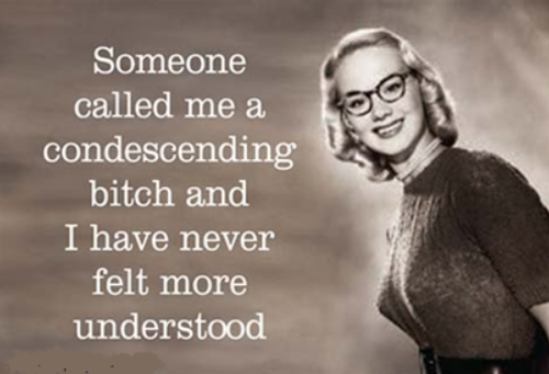 Magnet - Someone called me a condescending bitch...